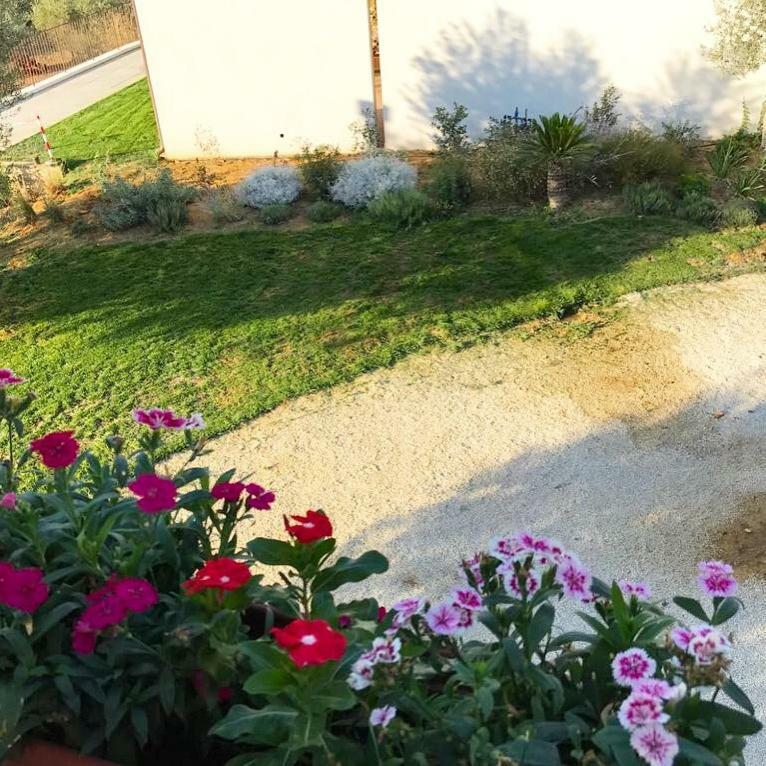 Uliwood Hotel Caltanissetta Bagian luar foto