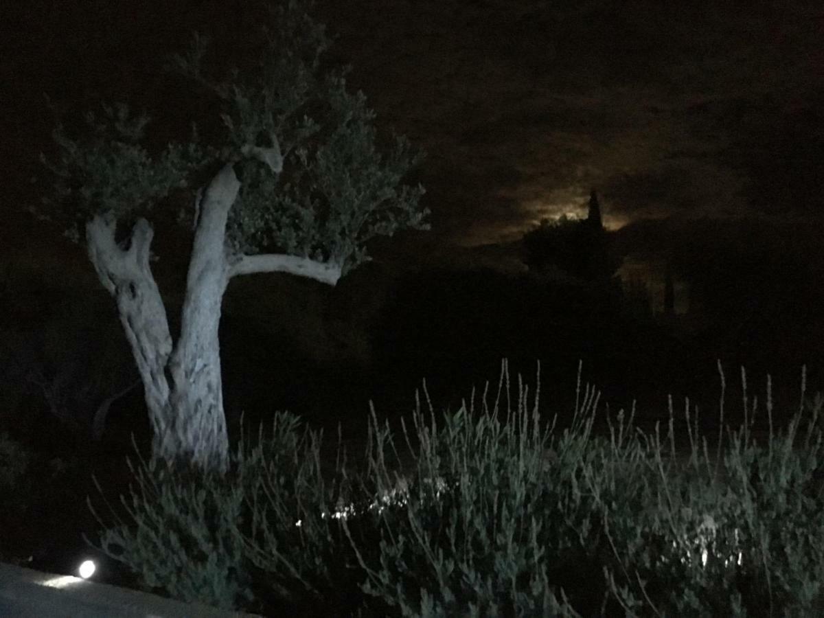 Uliwood Hotel Caltanissetta Bagian luar foto